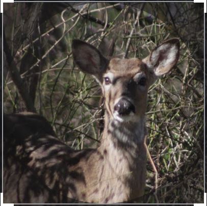 Enjoy the Past, Improve the Future